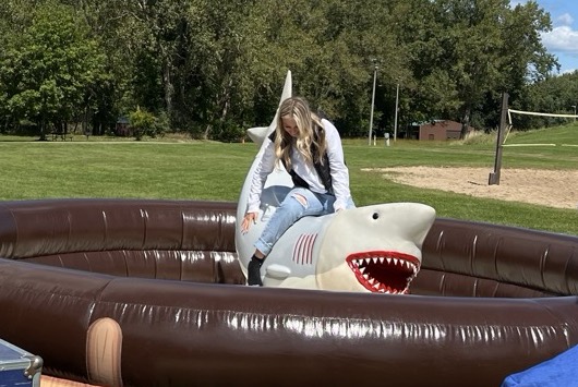 Mechanical Shark